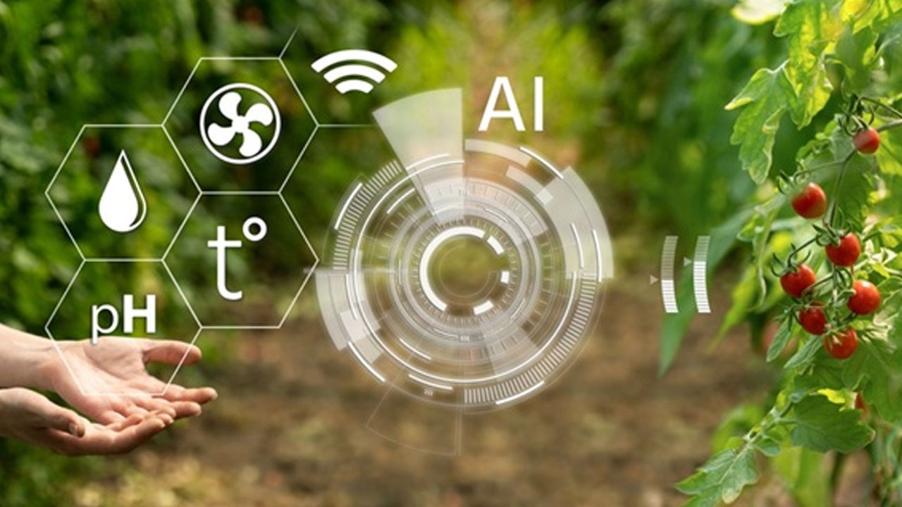 Yapay zeka tarlaya iniyor: Bakanlıktan akıllı tarım hamlesi