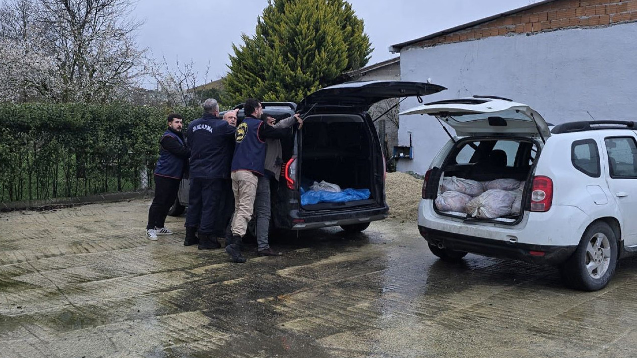 Silivri'de satışa hazır 306 at eti yakalandı