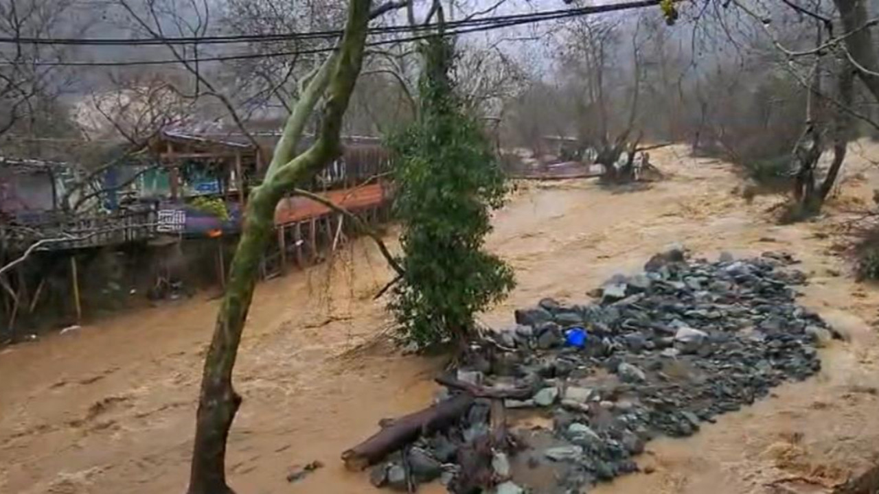 Yalova'yı sel vurdu! Sağanak yağış dereleri taşırdı: 5 büyükbaş hayvan telef oldu