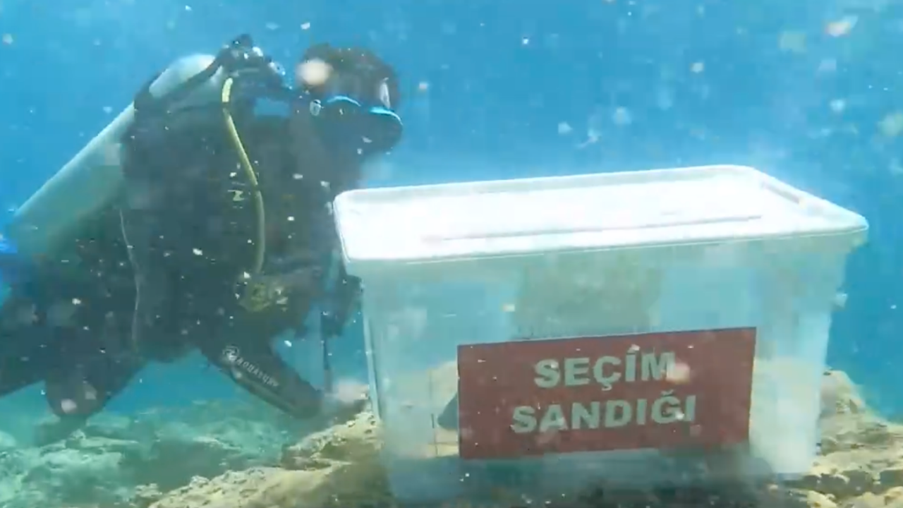 Ege Denizi'nde sandıklı eylem: Matematik bize birleşmeyi emrediyor