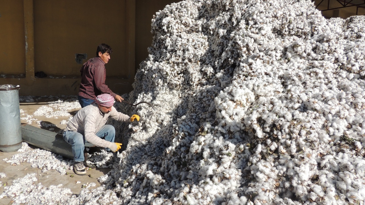 Amik Ovası’nda yeni sezon hazırlığı: Çiftçi zorluklara rağmen üretimi sürdürüyor