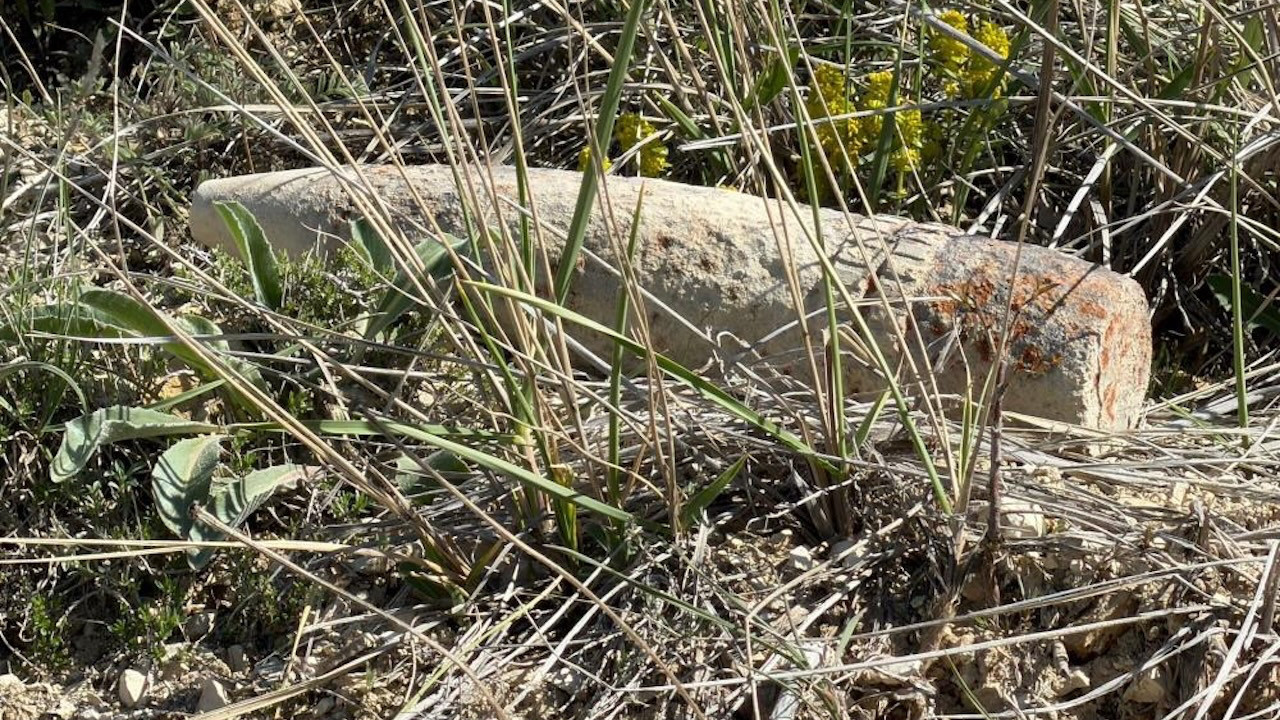 Ankara’da bir vatandaş mantar ararken patlamamış top mermisi buldu