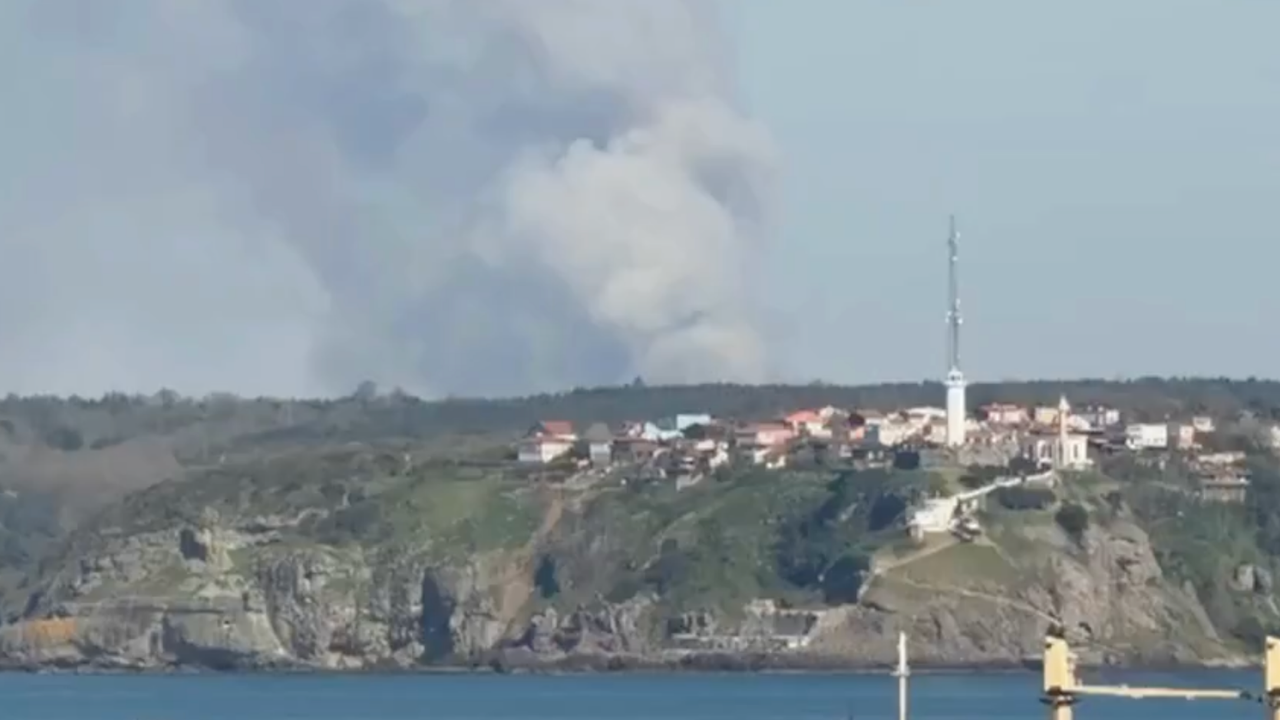 Beykoz’da orman yangını: Ekipler bölgeye sevk edildi