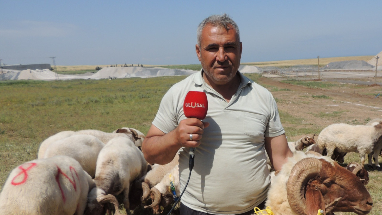 Kurban pazarında yüzler gülmüyor: Besiciler artan maliyetlerden, alıcılar fiyatlardan dert yandı
