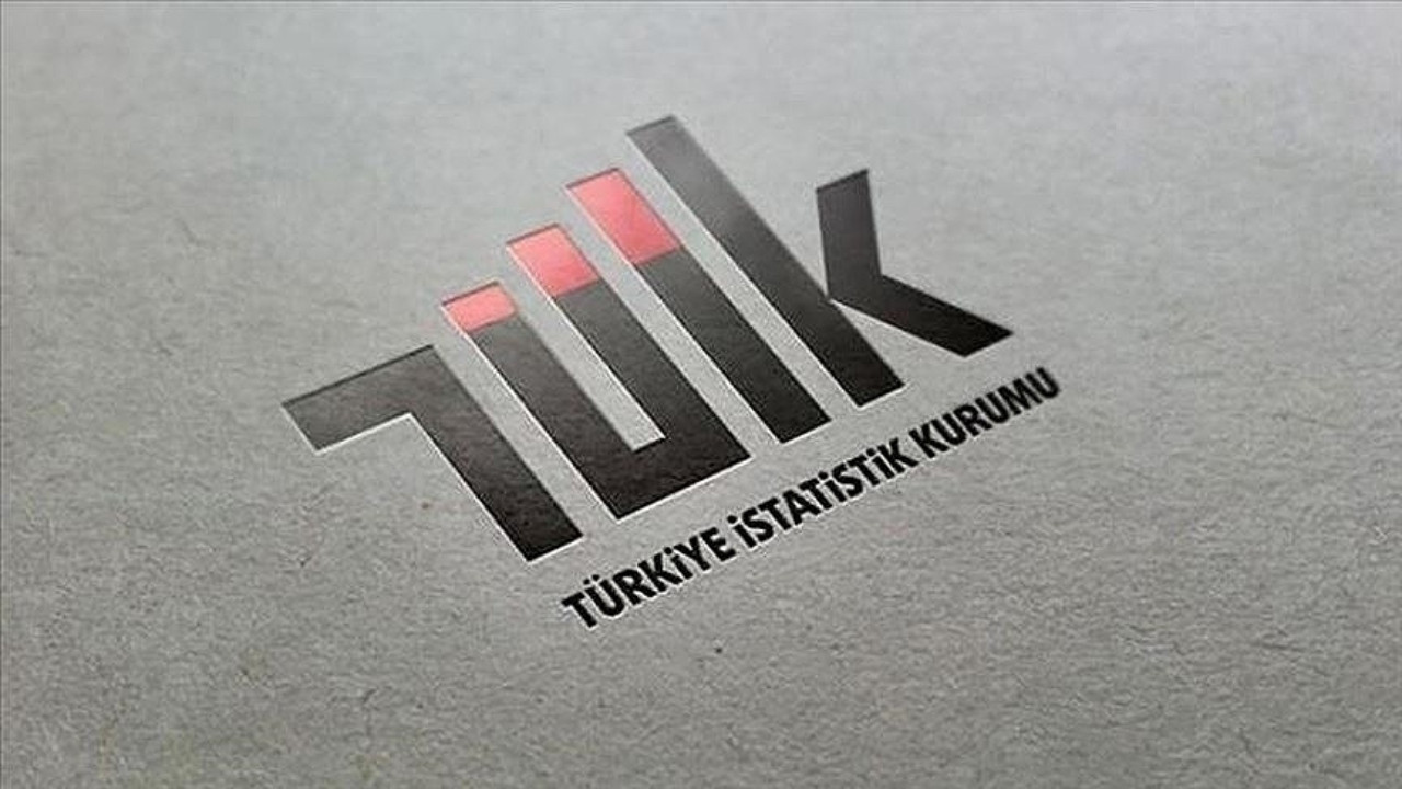 Evde çelik kapı, kırsalda köpek... TÜİK 2025 Türkiye suç mağduriyeti araştırması sonuçları açıklandı