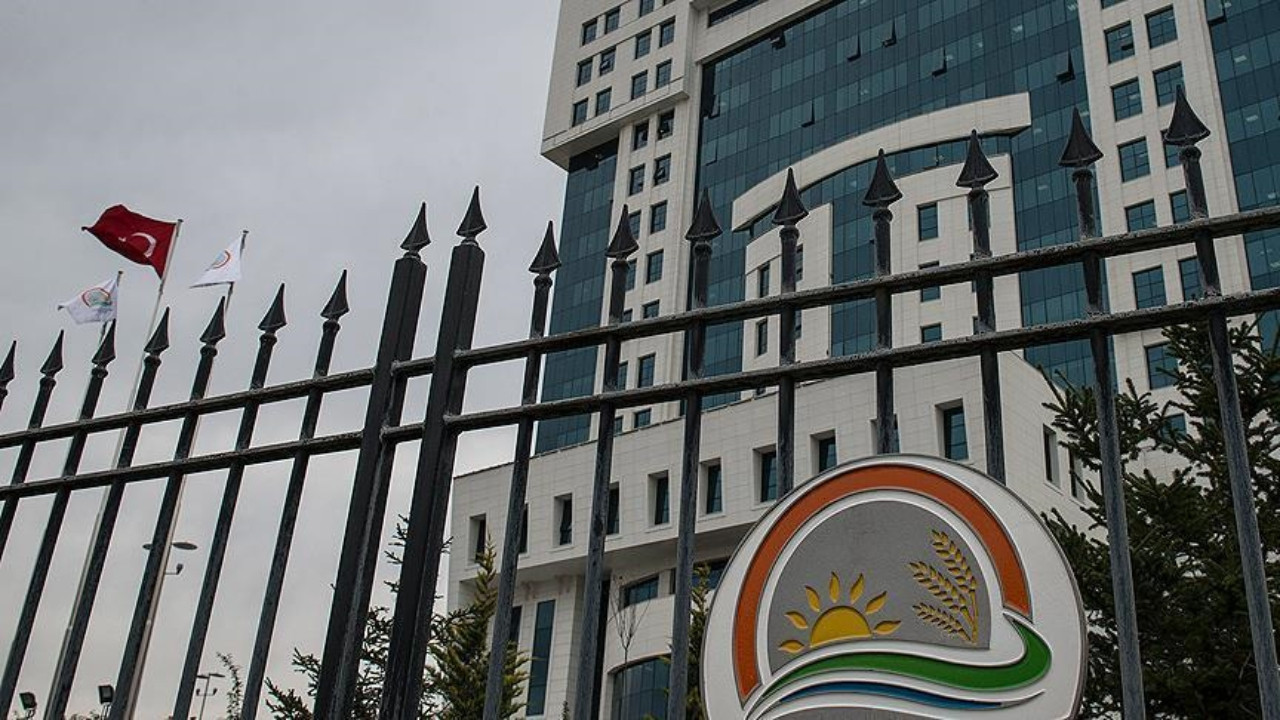 Tarım ve Orman Bakanlığından yapay et açıklaması: Türkiye'de yapay et satılacak mı?