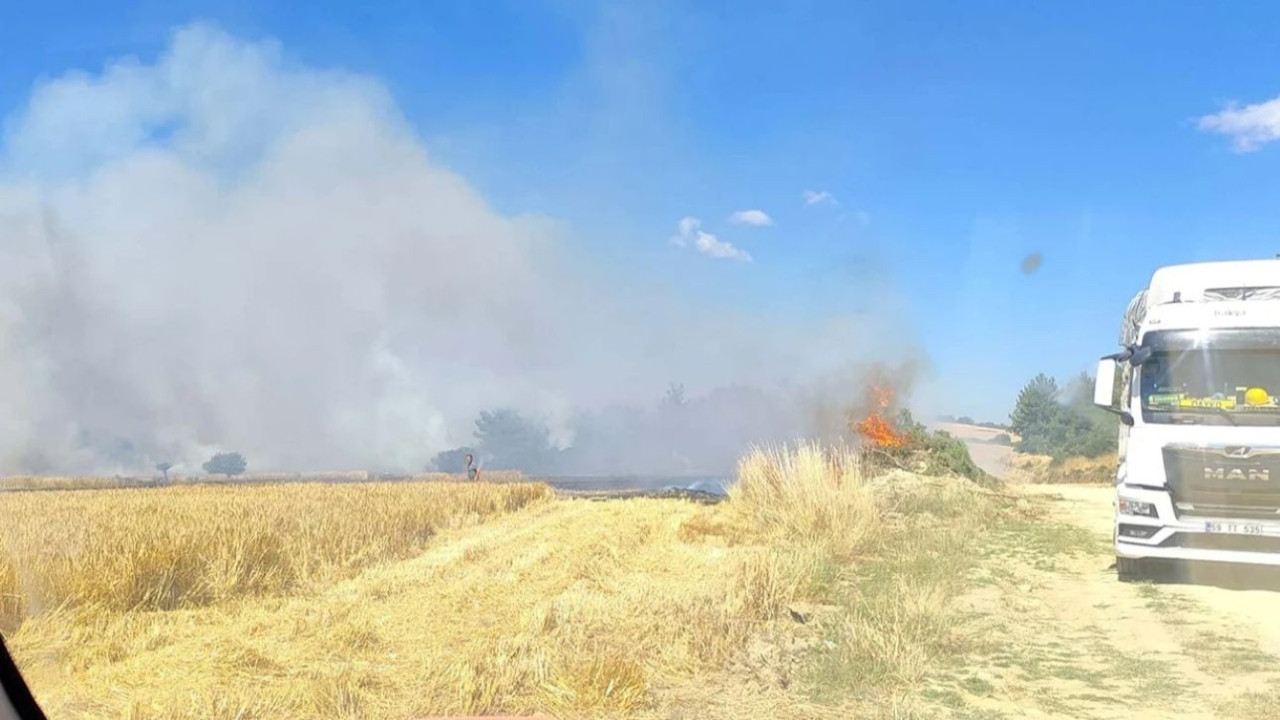 Alevler rüzgarın etkisiyle büyüyor! Çanakkale'de orman yangını