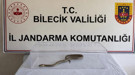 Evinden nesli tükenmekte olan yılan çıktı