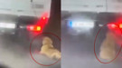 Kamyonetin arkasında sürüklenen köpek görüntüleri gündem olmuştu! Şüpheliye adli kontrol