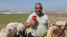 Kurban pazarında yüzler gülmüyor: Besiciler artan maliyetlerden, alıcılar fiyatlardan dert yandı