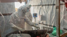 Ebola salgınında bilanço ağırlaşıyor!