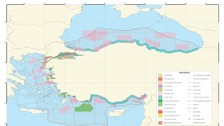 Mavi Vatan için stratejik rehber: Türkiye’den Deniz Mekansal Planı