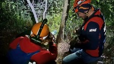 Yalova’da kaybolan adamdan acı haber: Ormanlık alanda ölü bulundu!