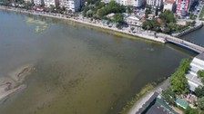Çevre felaketi kapıda mı? Silivri sahilinde kirlilik riski büyüyor