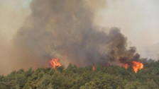 6 ilimizde orman yangını çıktı. Yangınlardan biri sırasında bir arazöz devrildi, 4 kişi yaralandı