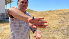 Sivas’ta görüntülendi: Öldürmenin cezası servet değerinde!