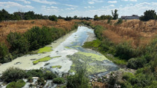 Lüleburgaz Deresi alarm veriyor: Rengi değişti, etrafa ağır koku yayıldı!