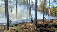 Denizli’de orman yangını: Havadan ve karadan müdahale sürüyor