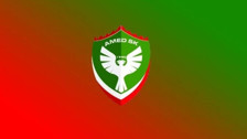 12 maç men cezası! PFDK’dan Amedspor kararı