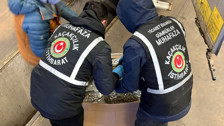 Zehir tacirlerine 6 koldan kuşatma: 659 kilo uyuşturucu ele geçirildi!