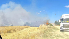 Alevler rüzgarın etkisiyle büyüyor! Çanakkale'de orman yangını