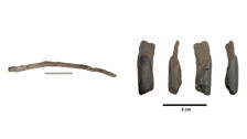 Dünyanın bilinen en eski ahşap aletleri bulundu: Tam 430 bin yıllık!
