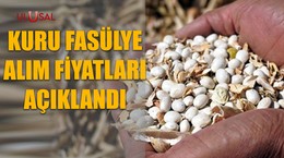 Kuru fasülye alım fiyatları açıklandı