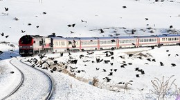 Doğu Ekspres treni hangi şehirlerden geçiyor!