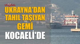 Ukrayna'dan tahıl taşıyan gemi Kocaeli'de