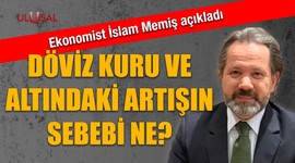 Döviz kuru ve altındaki artışın sebebi ne?