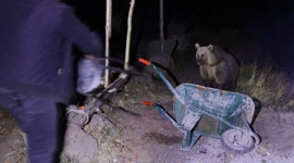 Piknik masasına gelen ayıyı tabure ile kovaladı…