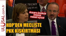 HDP'den mecliste PKK kışkırtması
