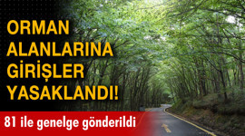 Orman alanlarına girişler yasaklandı!