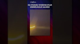 Kış uykusuna yatamayan ayılar, günübirlikçilere saldırdı! Ulusal Haber #gündem #sondakika #haberler