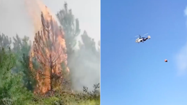 İstanbul’da iki ilçede orman yangını...