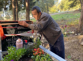 Mezarlıkta çiçek hırsızlığı skandalı!