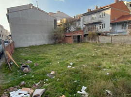 Eskişehir’de kan donduran olay! 8 kedi karınları deşilmiş, gözleri oyulmuş halde bulundu