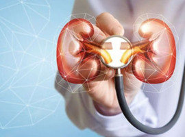 Uzmanından "At Nalı Böbrek" uyarısı