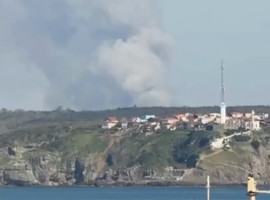 Beykoz’da orman yangını: Ekipler bölgeye sevk edildi