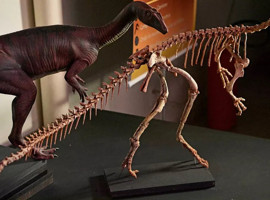 Zimbabve'de 210 milyon yıllık yeni dinozor türü keşfedildi