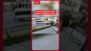 İstanbul, Tuzla’da öğrenci servisi yolda yatan sokak köpeğini ezerek ö.ldürdü #shrots #keşfet