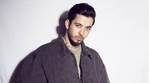 Hangi sanatçı ne kadar kazandı? - Resim: 6