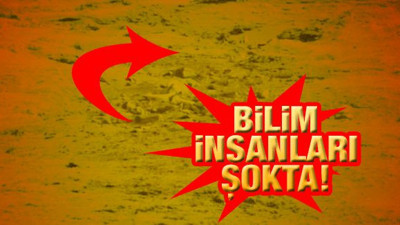 Bilim insanları şokta! Böylesi ilk defa görüldü