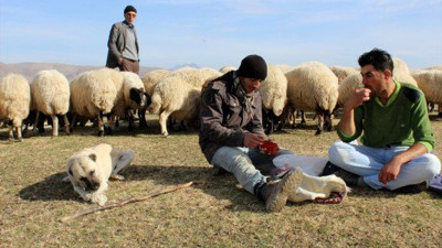Besiciler, zorlu kış mesaisine başladı
