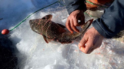 Donan Çıldır Gölü'nde balık tutuyorlar