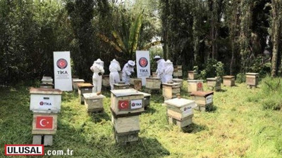 TİKA'dan Meksikalı bal üreticilerine destek