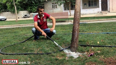 Çimleri sularken fark etti, doğru polise koştu!