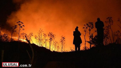 İzmir'de makilik alanda yangın