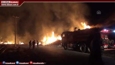 Antalya Manavgat'ta çıkan yangın kontrol altına alındı