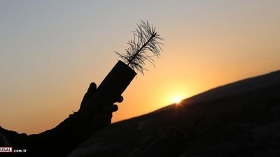 11 milyon fidan toprakla buluştu